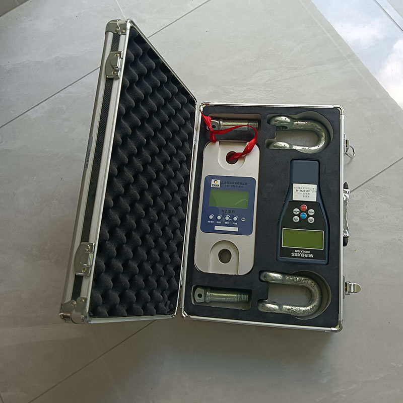 100噸拉力計(jì)